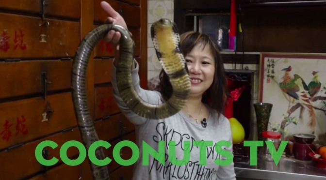 Freaky Feasts: Snake Soup